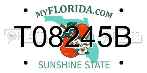 T08245B Florida License Plate