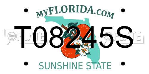 T08245S Florida License Plate