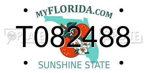 T082488 Florida License Plate