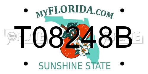 T08248B Florida License Plate