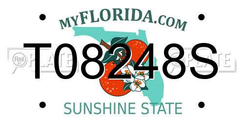 T08248S Florida License Plate