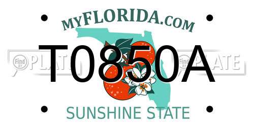 T0850A Florida License Plate