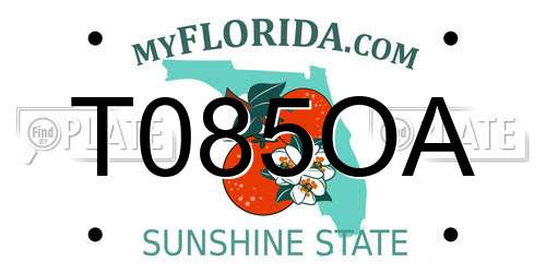 T085OA Florida License Plate