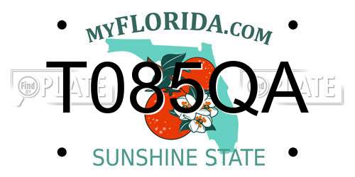 T085QA Florida License Plate