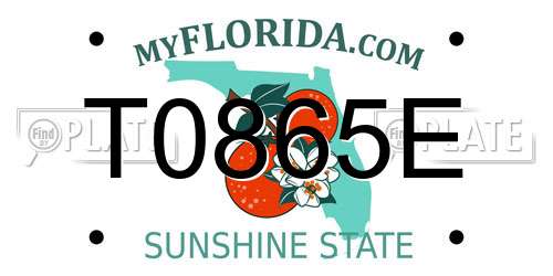 T0865E Florida License Plate