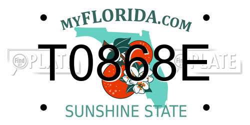 T0868E Florida License Plate
