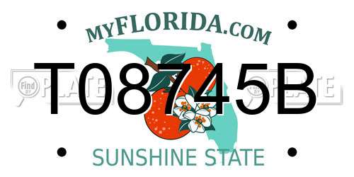 T08745B Florida License Plate