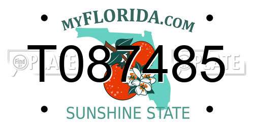 T087485 Florida License Plate