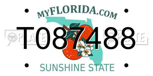 T087488 Florida License Plate