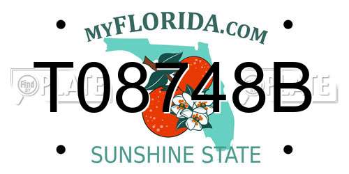 T08748B Florida License Plate