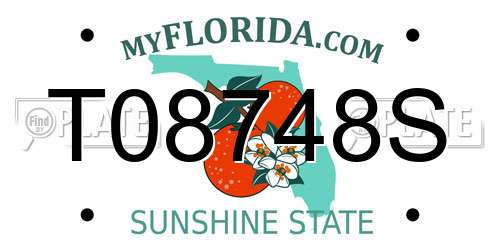 T08748S Florida License Plate
