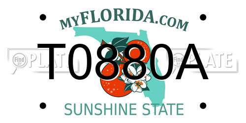 T0880A Florida License Plate