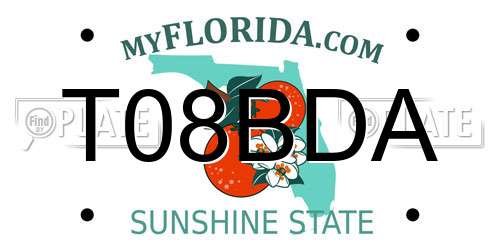 T08BDA Florida License Plate