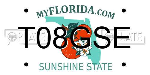 T08GSE Florida License Plate