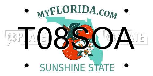 T08SOA Florida License Plate