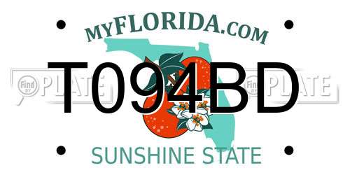 T094BD Florida License Plate