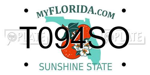 T094SO Florida License Plate