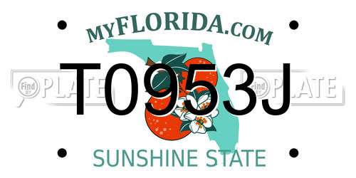 T0953J Florida License Plate