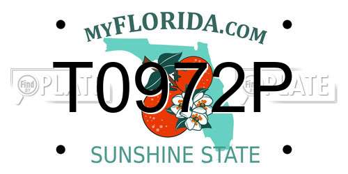 T0972P Florida License Plate