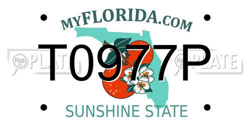 T0977P Florida License Plate