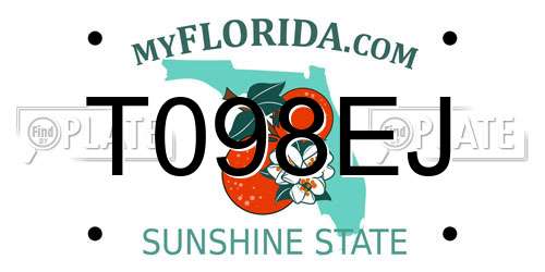T098EJ Florida License Plate