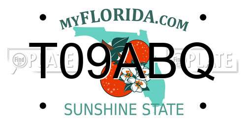 T09ABQ Florida License Plate