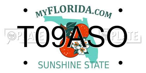 T09ASO Florida License Plate
