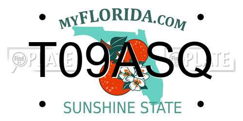 T09ASQ Florida License Plate