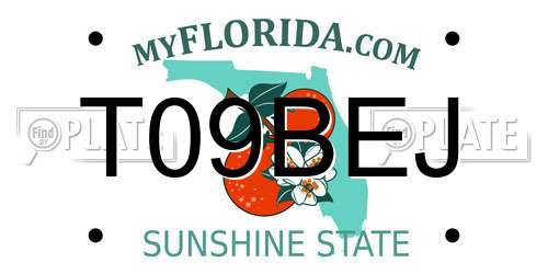 T09BEJ Florida License Plate