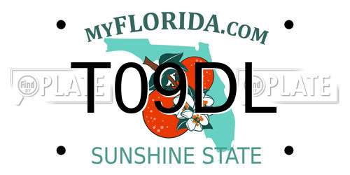 T09DL Florida License Plate