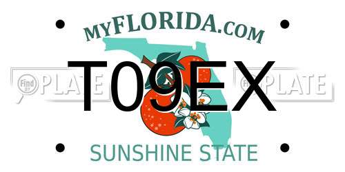 T09EX Florida License Plate