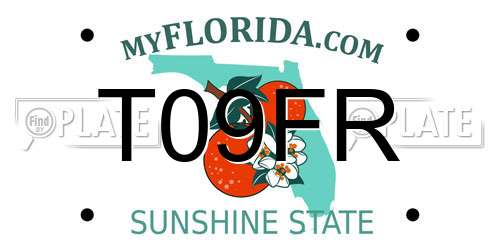 T09FR Florida License Plate