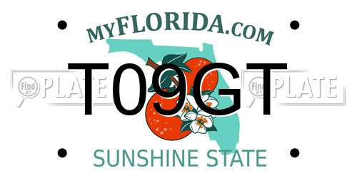 T09GT Florida License Plate