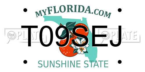 T09SEJ Florida License Plate
