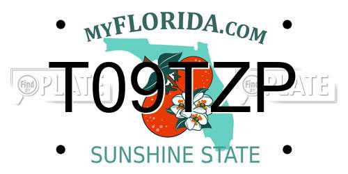 T09TZP Florida License Plate
