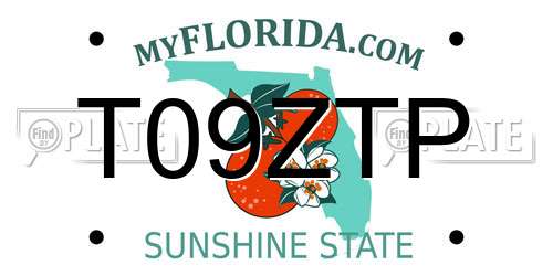 T09ZTP Florida License Plate