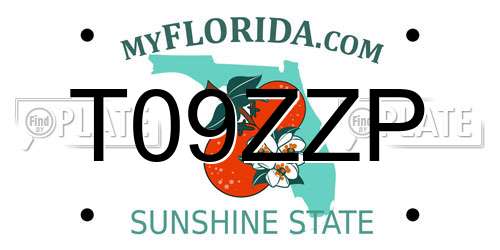 T09ZZP Florida License Plate
