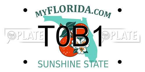 T0B1 Florida License Plate