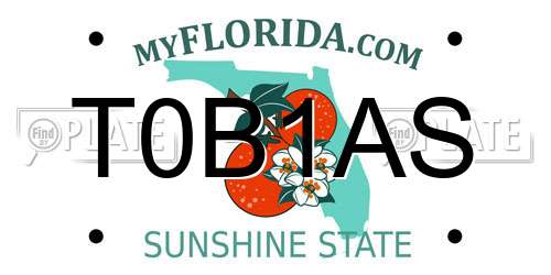T0B1AS Florida License Plate