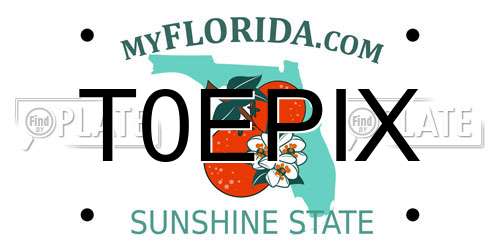 T0EPIX Florida License Plate