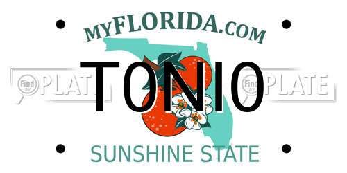 T0NI0 Florida License Plate