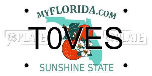 T0VES Florida License Plate