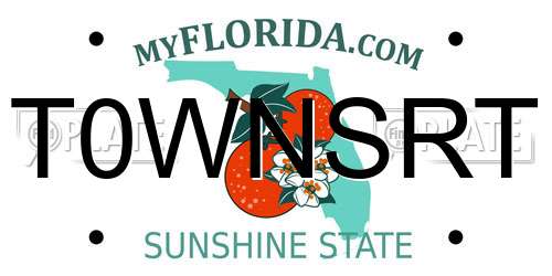 T0WNSRT Florida License Plate