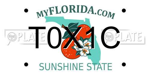 T0X1C Florida License Plate
