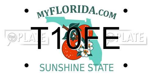 T10FE Florida License Plate