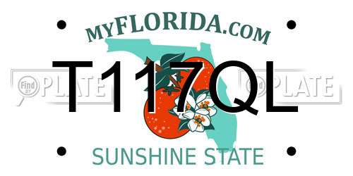 T117QL Florida License Plate