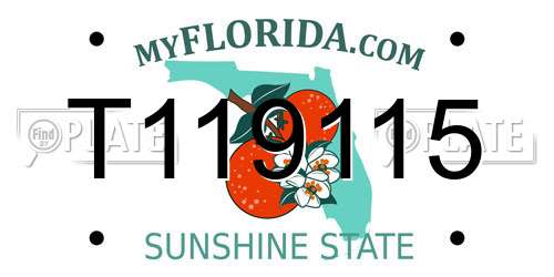 T119115 Florida License Plate