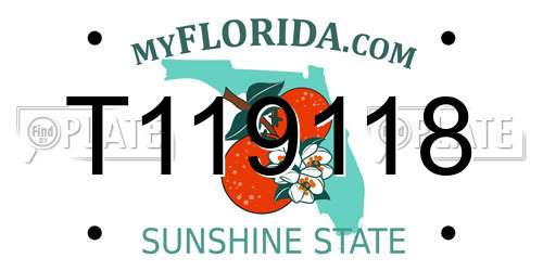 T119118 Florida License Plate