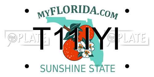 T11IYI Florida License Plate