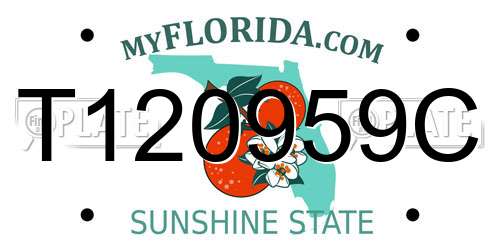 T120959C Florida License Plate
